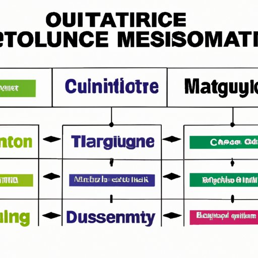 Comparing Different Types of Organizational Cultures