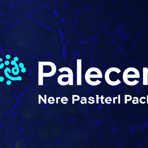 All You Need to Know About Placer.ai