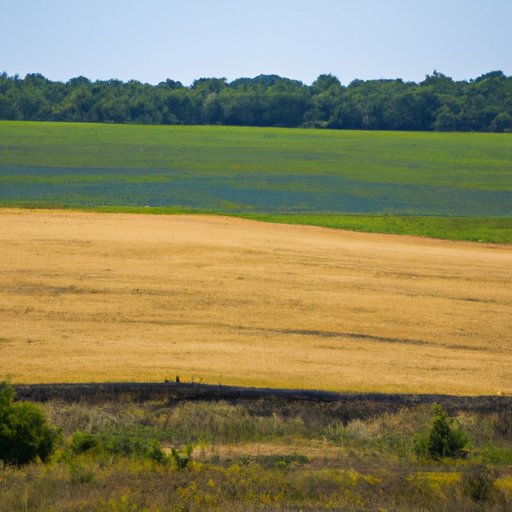 Overview of the Interdisciplinary Nature of the Field