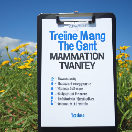 A Guide to Talent Management Strategies