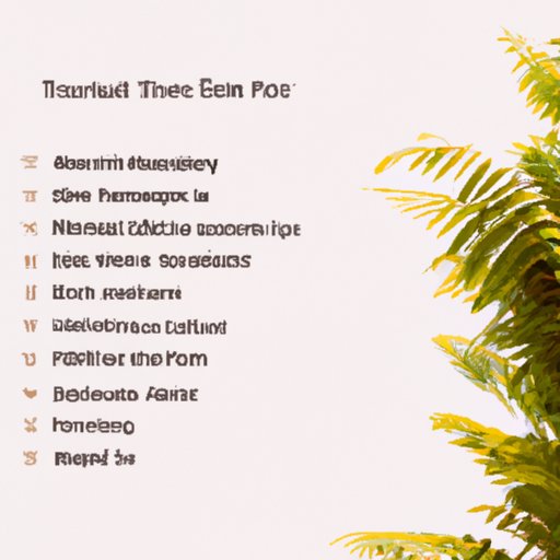 How to Choose the Best Software for Writing Evaluations