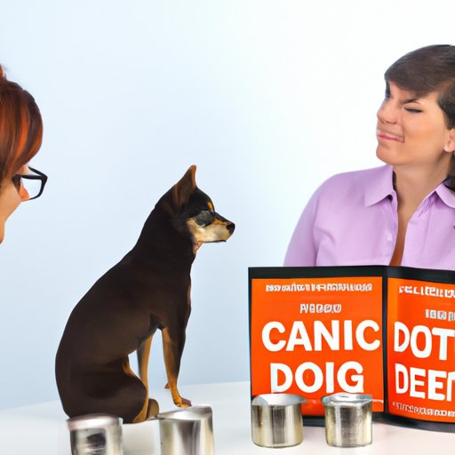 Expert Interviews on the Best Canned Dog Foods