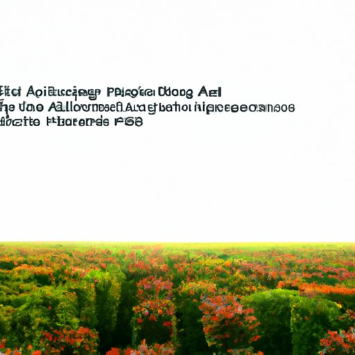 Asset Allocation Strategies of Top Hedge Funds