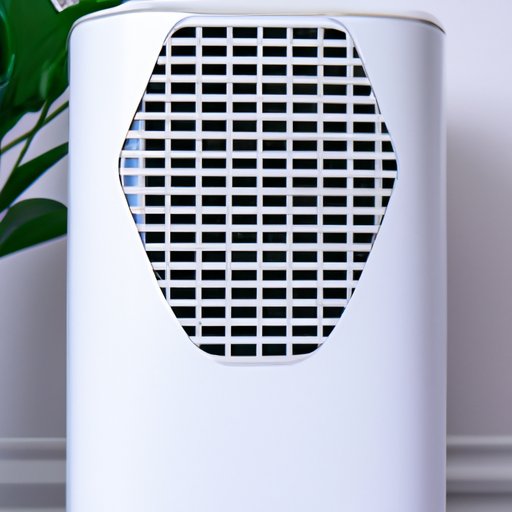 A Review of the Best Home Air Purifier Brands