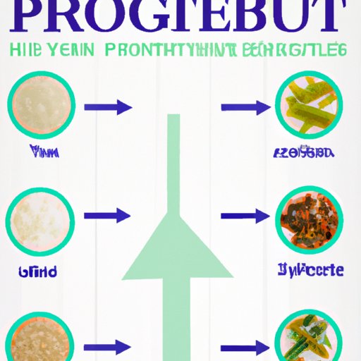 Guide to Selecting the Right Probiotic