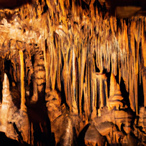 The Ultimate Guide to Choosing the Perfect Mammoth Cave Tour