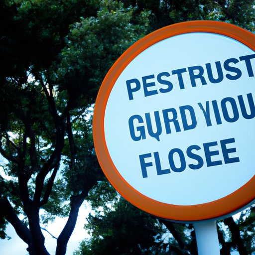 A Comprehensive Guide to Choosing the Right TSP Fund for You