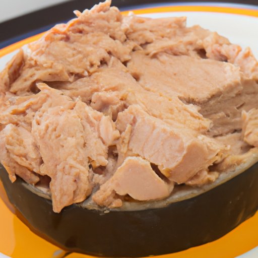 Cooking with Tuna: Recipes to Try with Different Kinds of Tuna