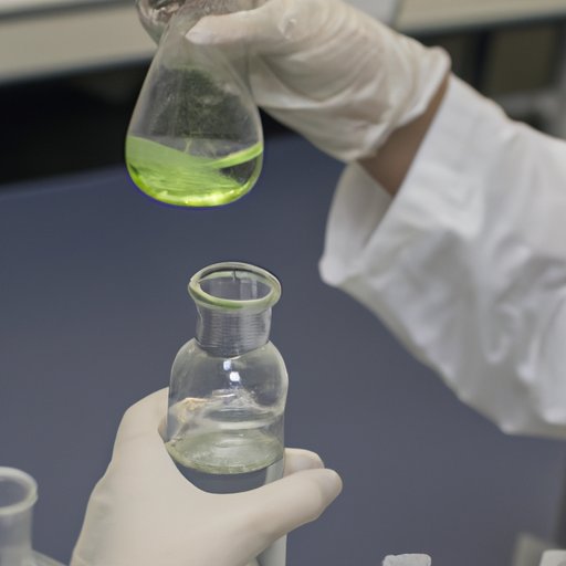 Establishing the Purpose of the Experiment