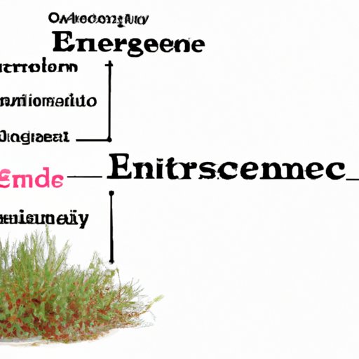 Definition of Environmental Science 