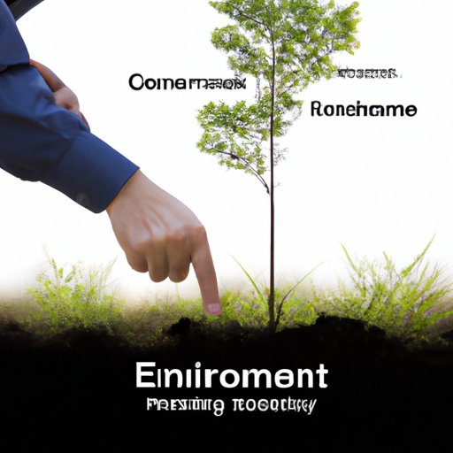 Investigating the Benefits of Environmental Conservation