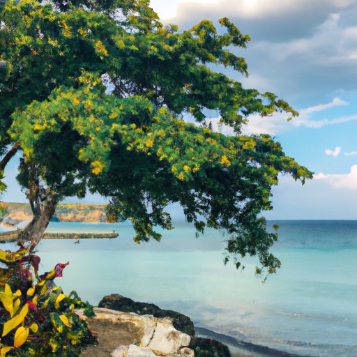 Exploring Jamaica: What You Need to Know Before You Go