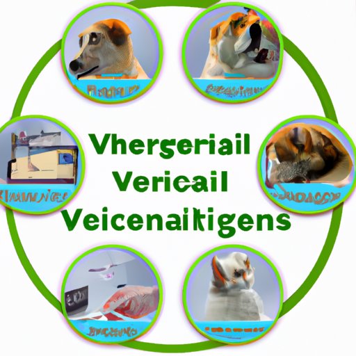 A Closer Look at Veterinary Technology: Examining the Latest Advances