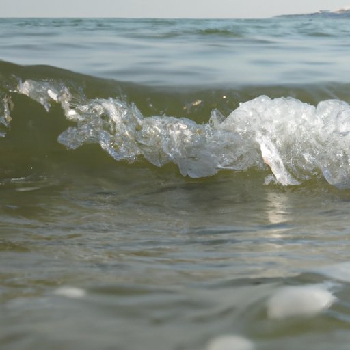 The Potential of Wave Technology