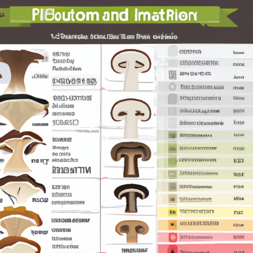 Comprehensive Guide to Nutrients Found in Mushrooms