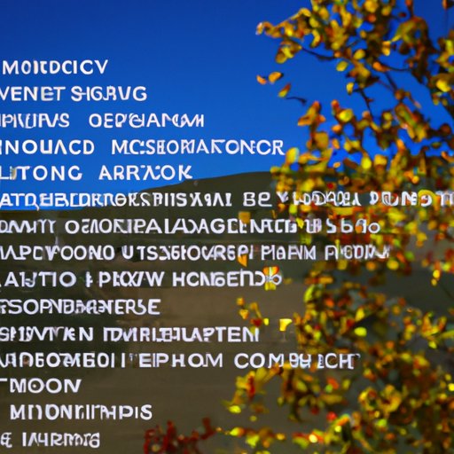 Overview of Different Acts Featured on Each Season