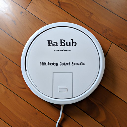 The Art of Naming Your Robotic Vacuum Cleaner