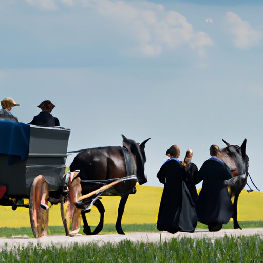 Exploring the Role of Technology in Mennonite Communities