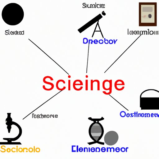 An Overview of the Different Types of Science