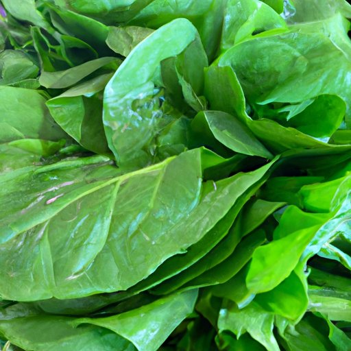 Increase Your Intake of Leafy Greens