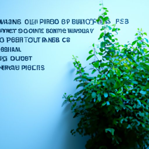 Top 10 Investment Strategies for Maximum Returns on Fidelity