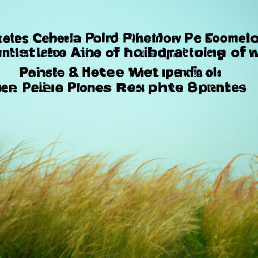 Understand What Services are Offered by a CFP