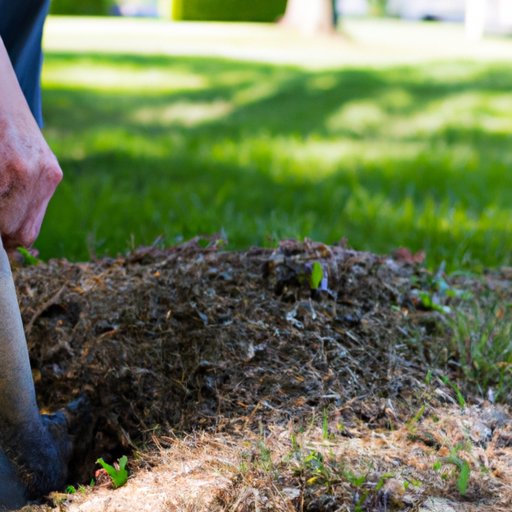 Identifying Essential Landscaping Tools for Starting a Business