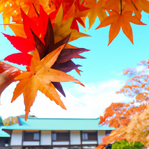 Enjoy the Seasons in Japan – When to Go for the Ideal Experience