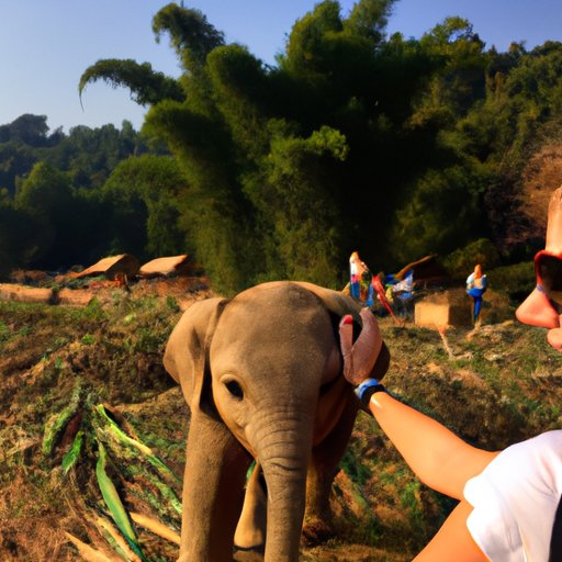 Exploring Laos: A Guide to When and How to Travel to the Land of a Million Elephants