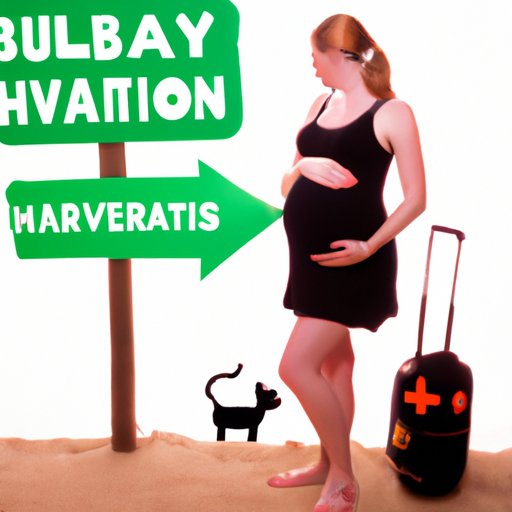 When to Put a Halt on Vacations and Travel During Pregnancy