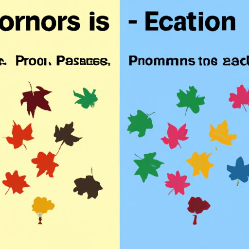 Exploring Pros and Cons of Different Seasons
