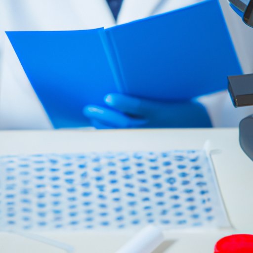 Examine the Scientific Evidence on When Life Begins