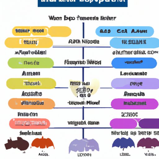 What to Expect During the Different Times of Year in Australia