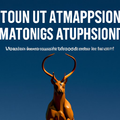 How to Make Better Decisions by Challenging Your Assumptions