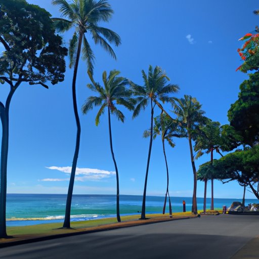 When Is the Best Time to Visit Hawaii? The Enlightened Mindset