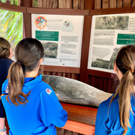 Learning About Manatees and Their Habitats to Protect Them