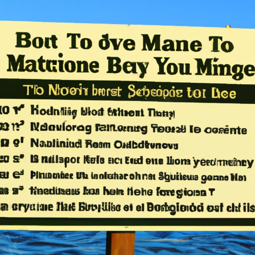 Tips for Responsible Boating in Manatee Corridors