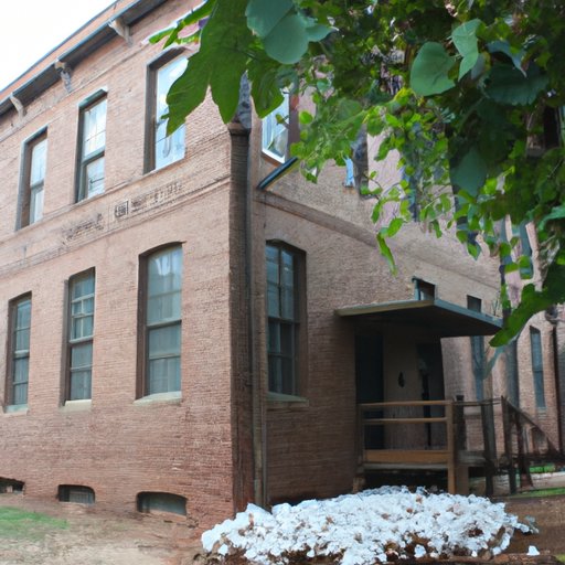 A Look at the History of the Cotton Gin