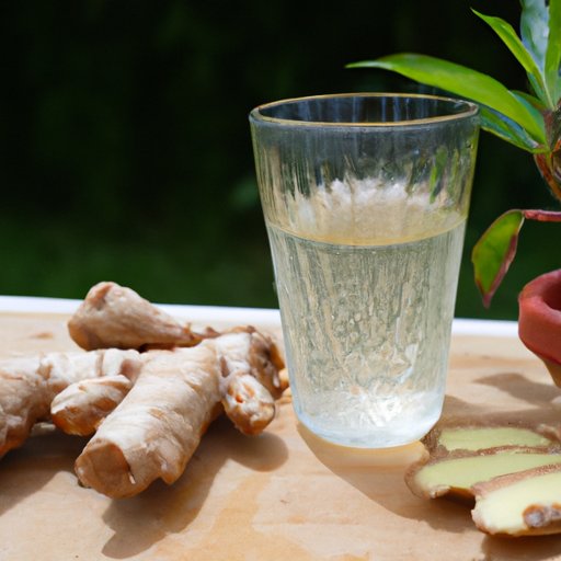 Exploring the Origins of Ginger Ale