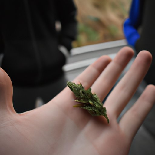 When Was Weed Invented? A Historical Overview of Cannabis Through the