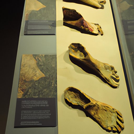 Exploring the Timeline of Ancient Footwear