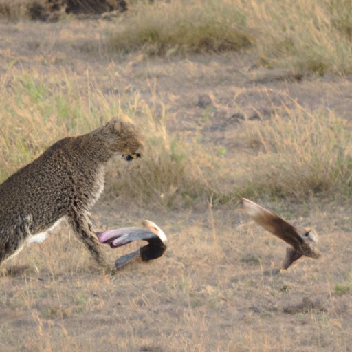 The Thrill of the Hunt: Tips for Finding Your Prey