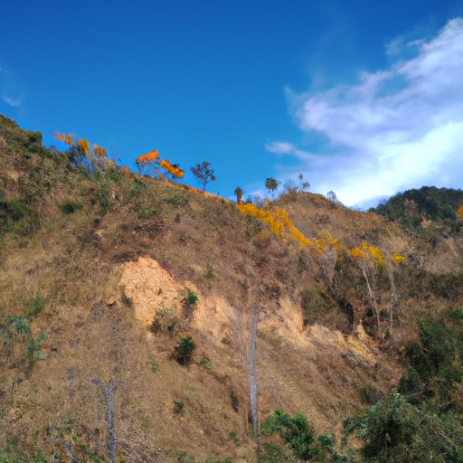 Descubriendo la Belleza de Mi Lugar de Origen