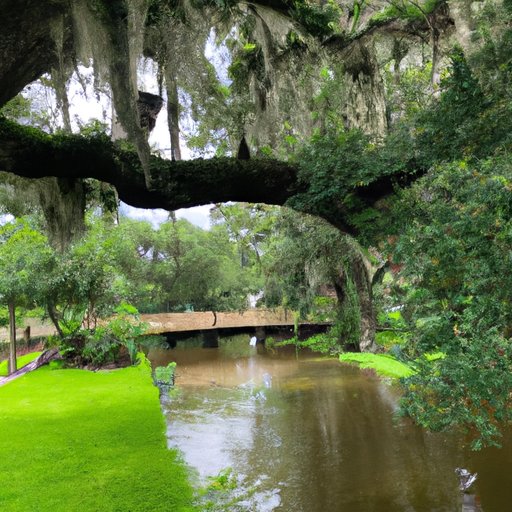 Enjoying the Southern Charm of Louisiana