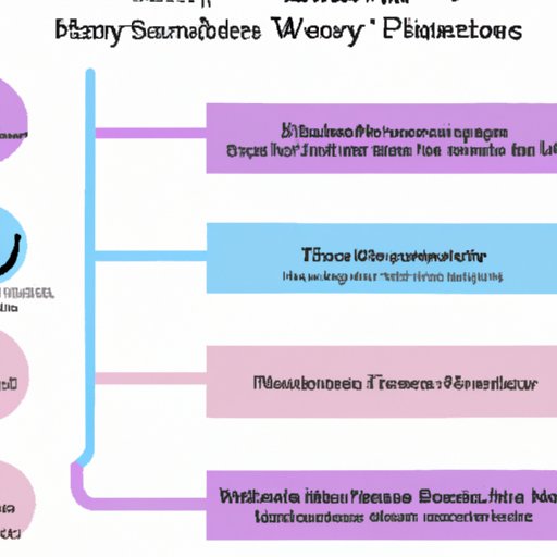A Comparison of Streaming Services for Watching Harry Potter Movies