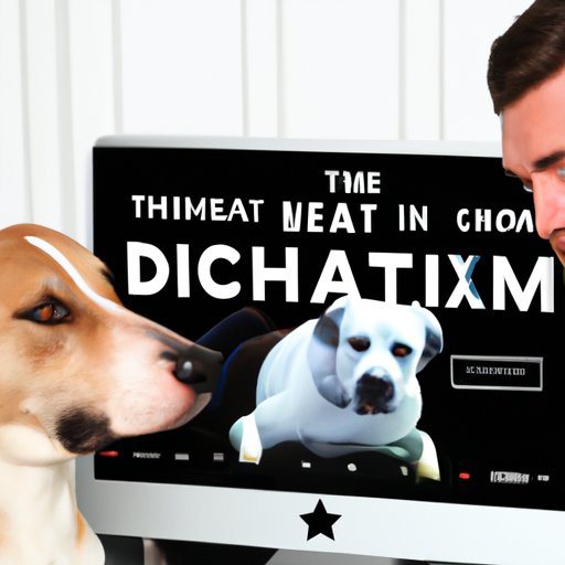 Review of Streaming Platforms Offering Dog with Channing Tatum
