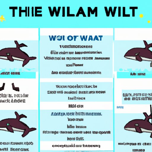 A Guide to Watching the Whale Movie Online