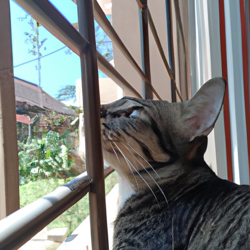 The Convenience of Watching Their Eyes Were Watching God From Home