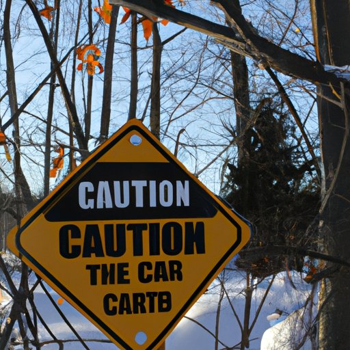 Explore the Great Outdoors With Caution