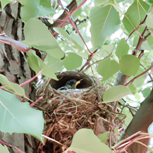 A Story of Survival: Finding Comfort in Unexpected Places